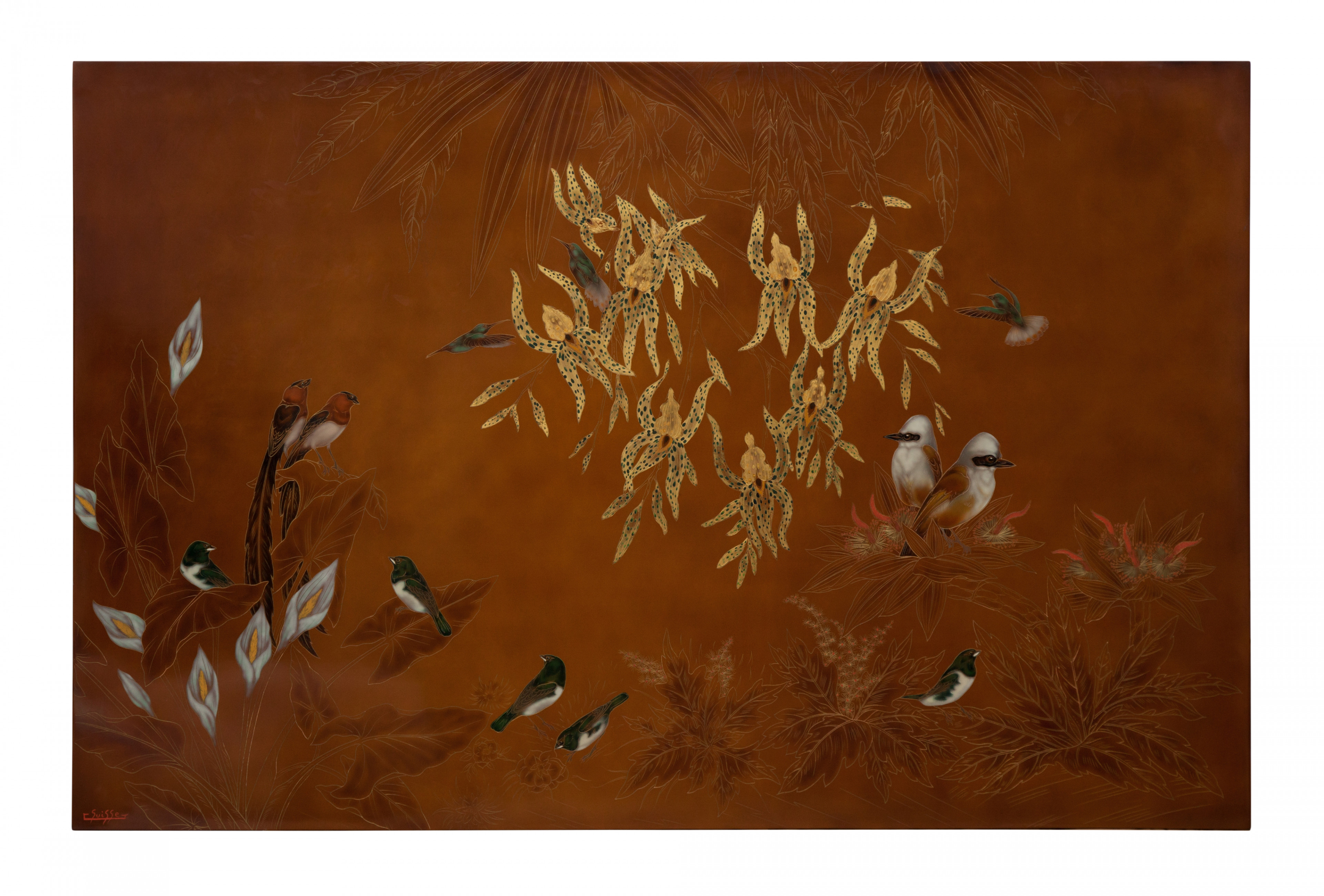 Colibris dans les orchidées tigrées